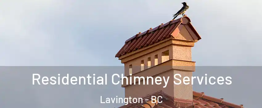  Residential Chimney Services Lavington - BC
