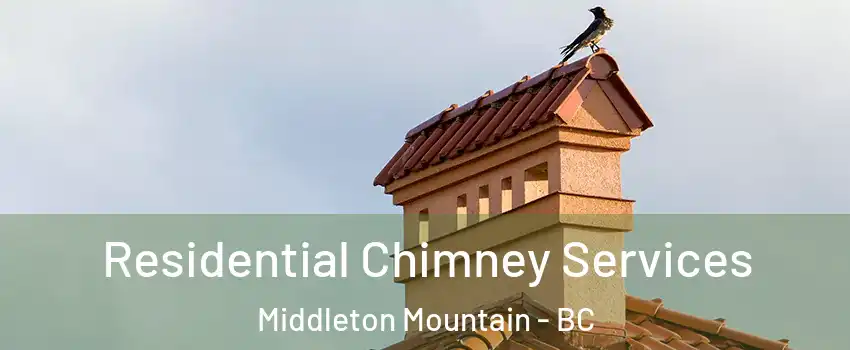  Residential Chimney Services Middleton Mountain - BC