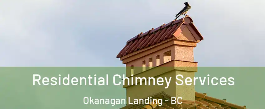  Residential Chimney Services Okanagan Landing - BC