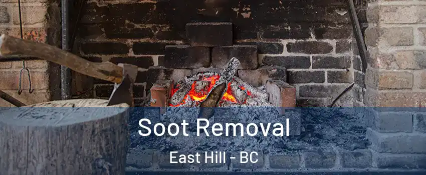  Soot Removal East Hill - BC