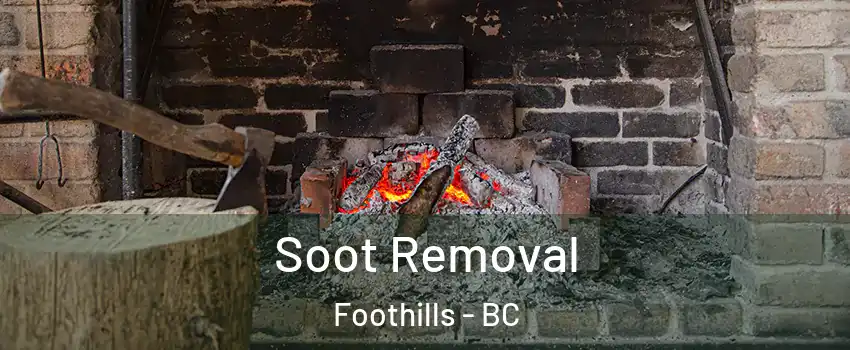  Soot Removal Foothills - BC