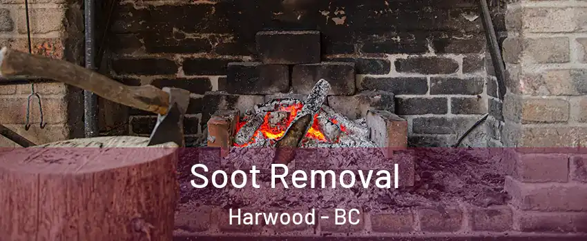  Soot Removal Harwood - BC