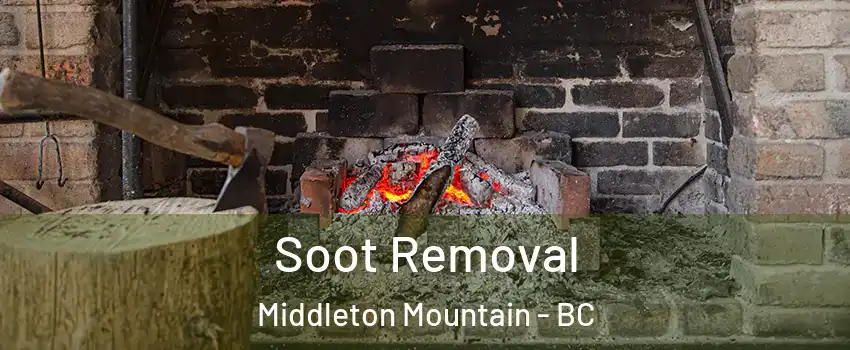  Soot Removal Middleton Mountain - BC