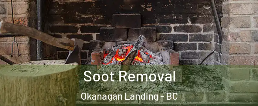  Soot Removal Okanagan Landing - BC
