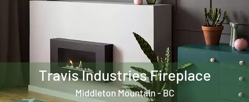 Travis Industries Fireplace Middleton Mountain - BC
