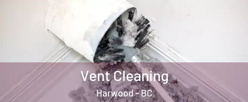  Vent Cleaning Harwood - BC