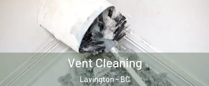  Vent Cleaning Lavington - BC