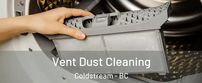  Vent Dust Cleaning Coldstream - BC