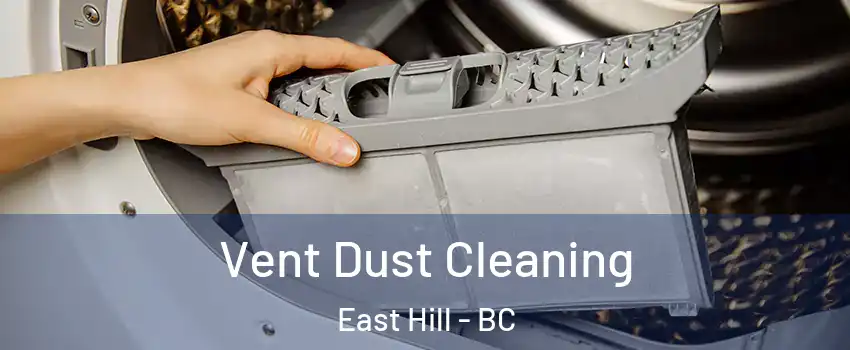  Vent Dust Cleaning East Hill - BC