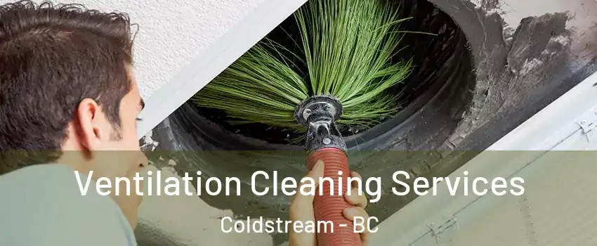 Ventilation Cleaning Services Coldstream - BC