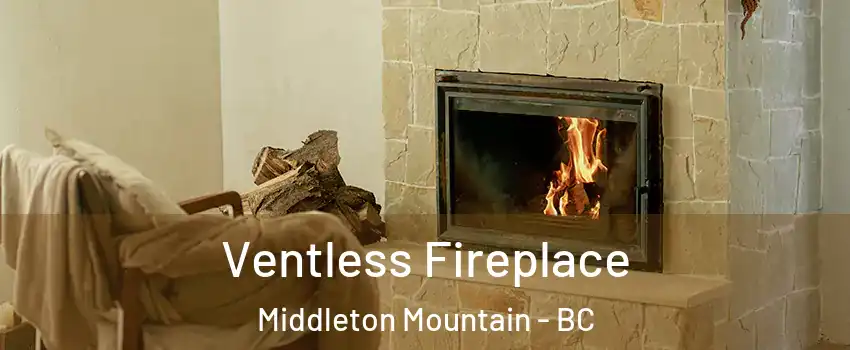  Ventless Fireplace Middleton Mountain - BC