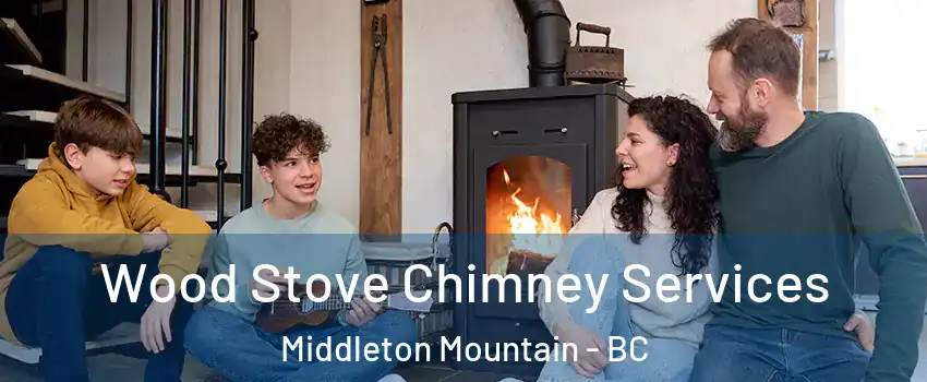  Wood Stove Chimney Services Middleton Mountain - BC