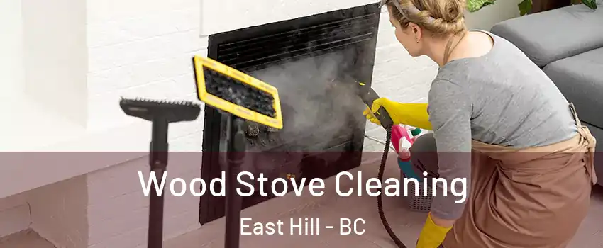  Wood Stove Cleaning East Hill - BC