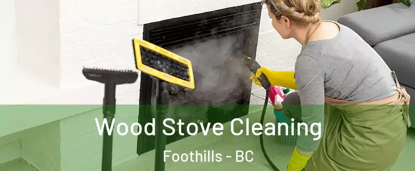  Wood Stove Cleaning Foothills - BC