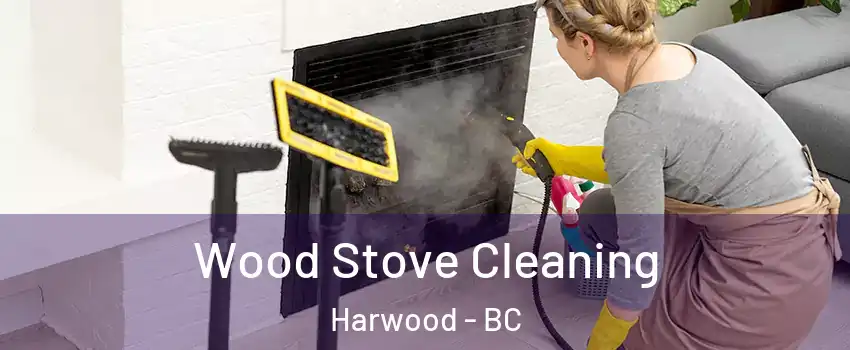  Wood Stove Cleaning Harwood - BC