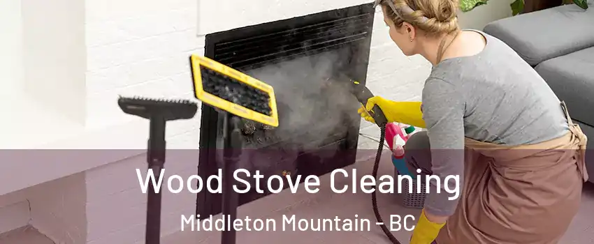  Wood Stove Cleaning Middleton Mountain - BC