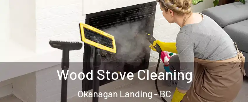  Wood Stove Cleaning Okanagan Landing - BC