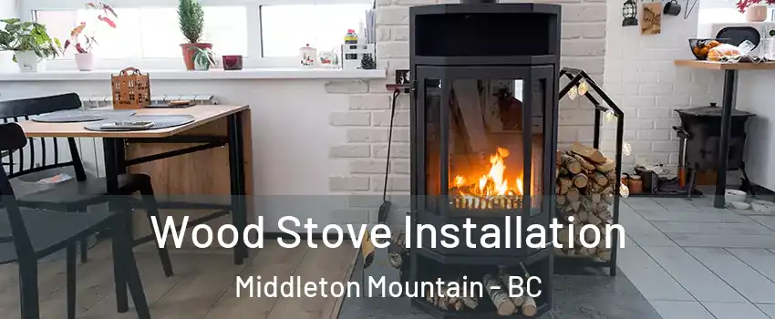  Wood Stove Installation Middleton Mountain - BC