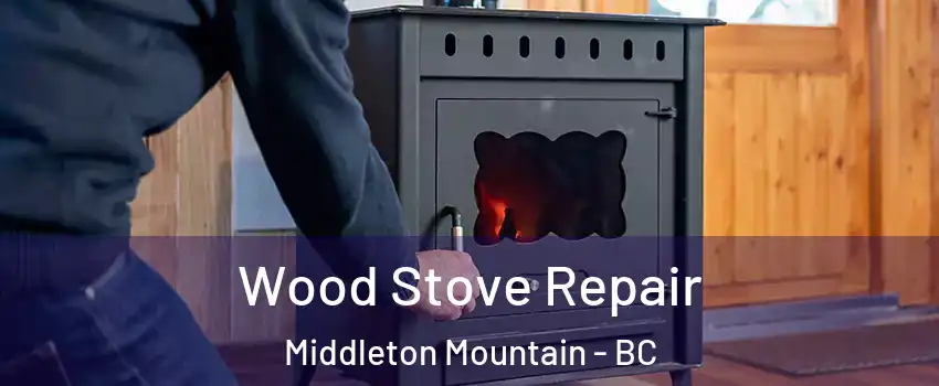  Wood Stove Repair Middleton Mountain - BC