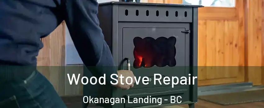  Wood Stove Repair Okanagan Landing - BC